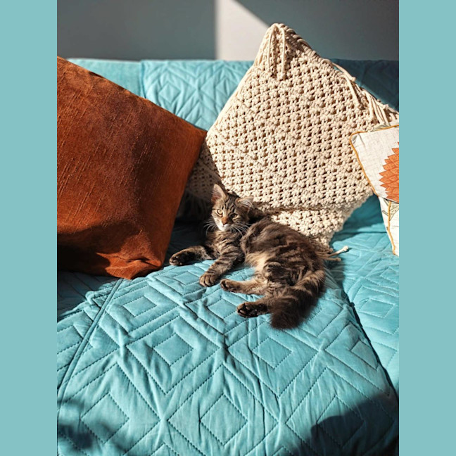 Photo of Luna Was Frankie