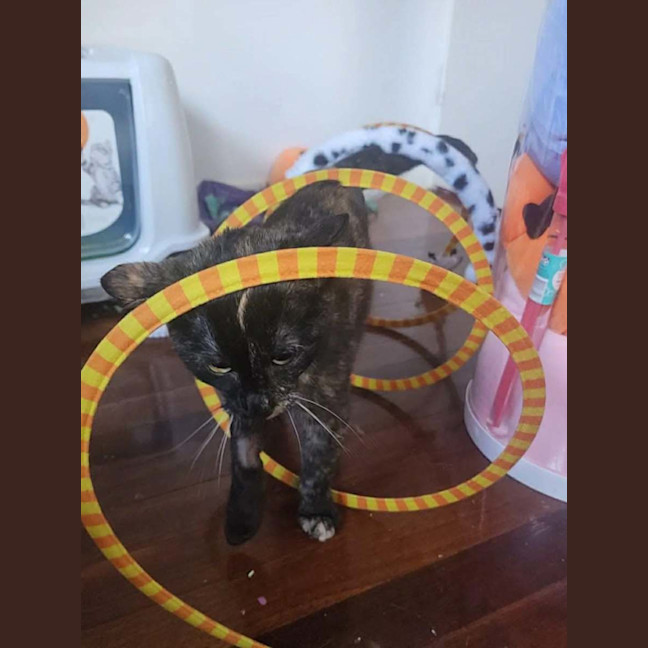 Photo of Penelope