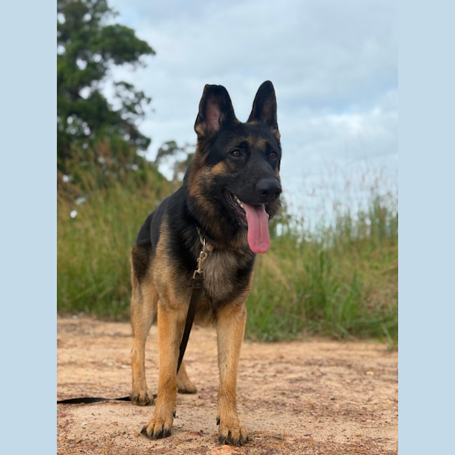 Photo of Tank