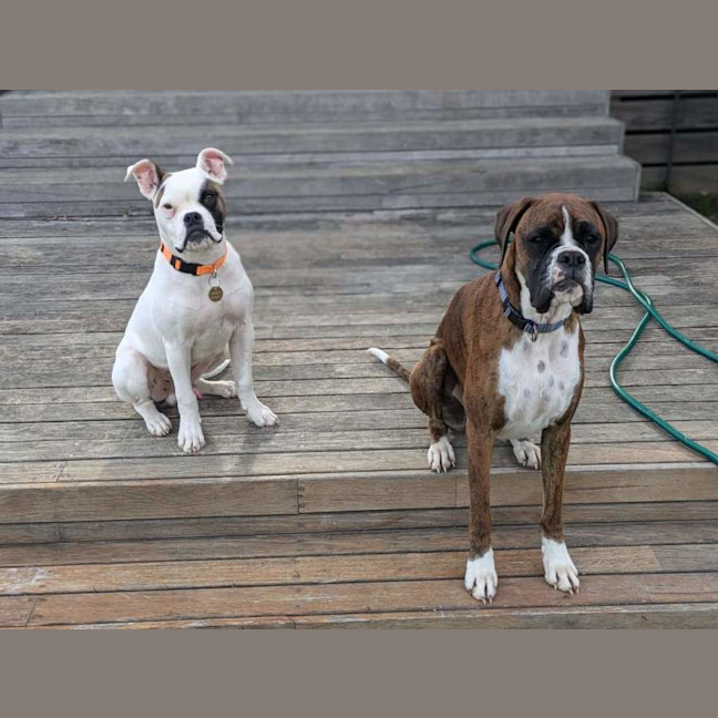 Photo of Ricky Jon Jiggy