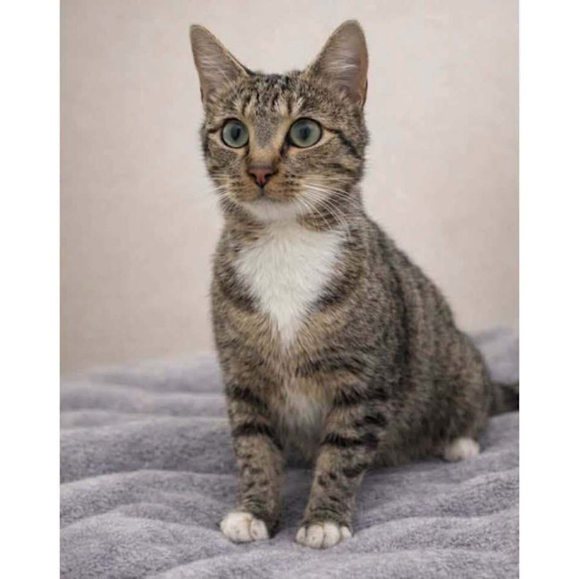 Photo of 14236   Skye