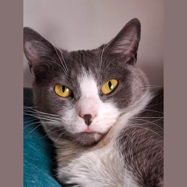 Photo of Athos