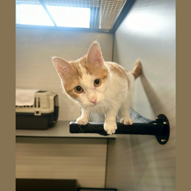 Photo of Freya