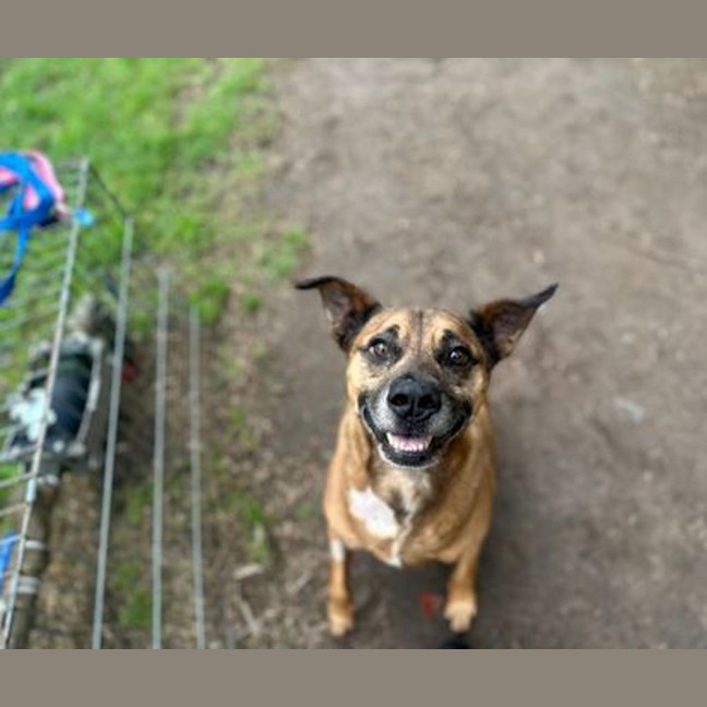 Photo of Buddy