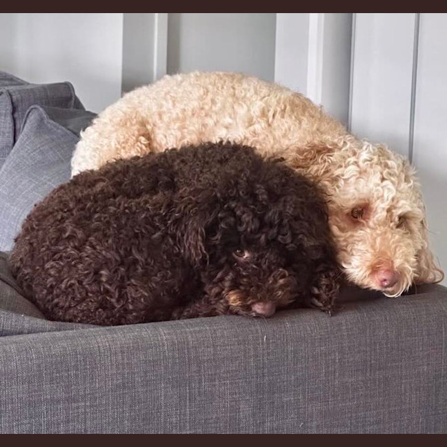 Photo of Ruby And Theo