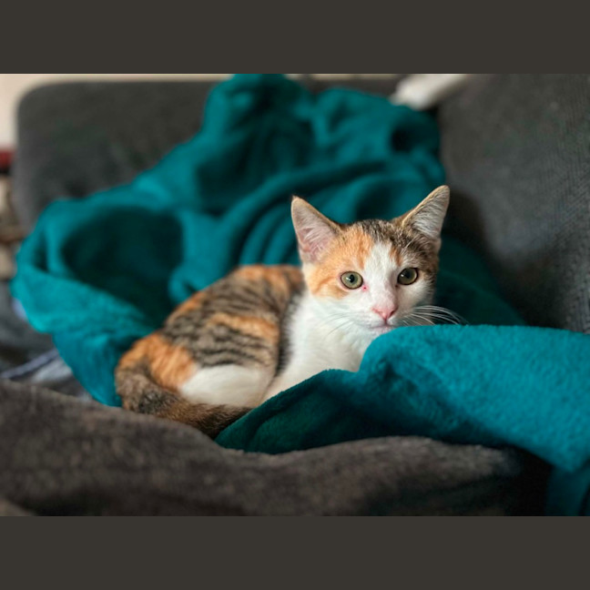 Photo of Cally