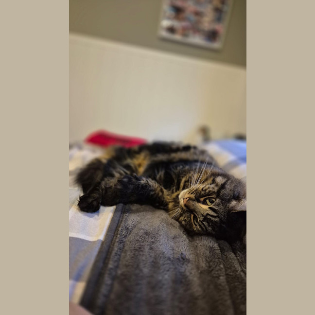 Photo of Fanta And Coke 