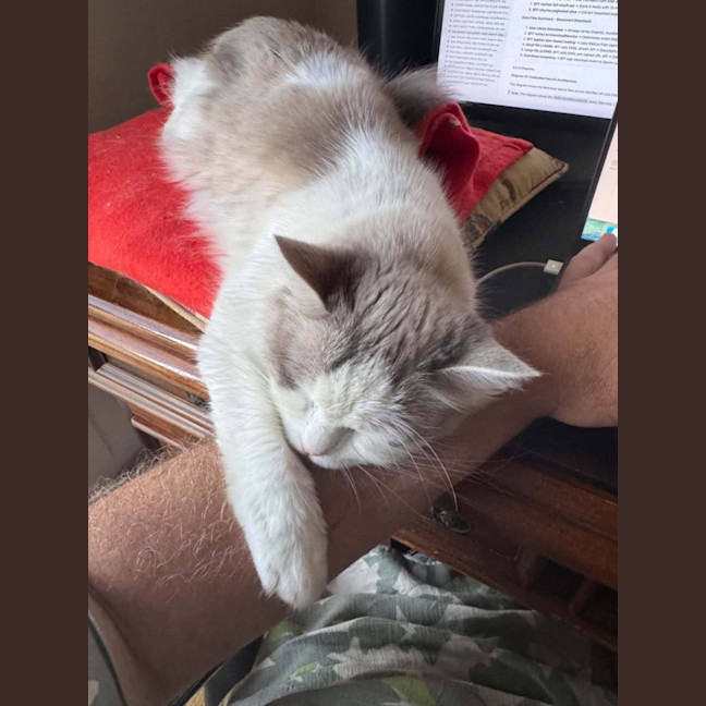 Photo of Misty