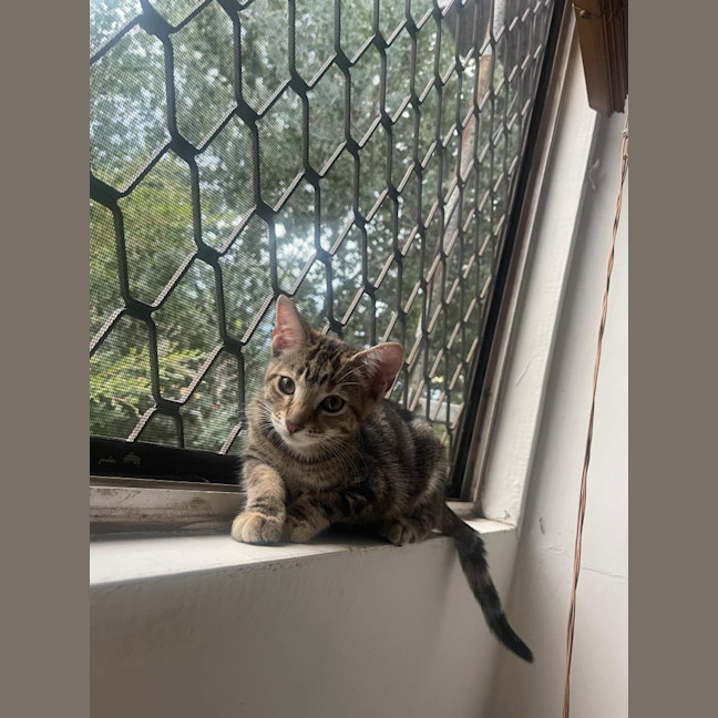 Photo of Eve