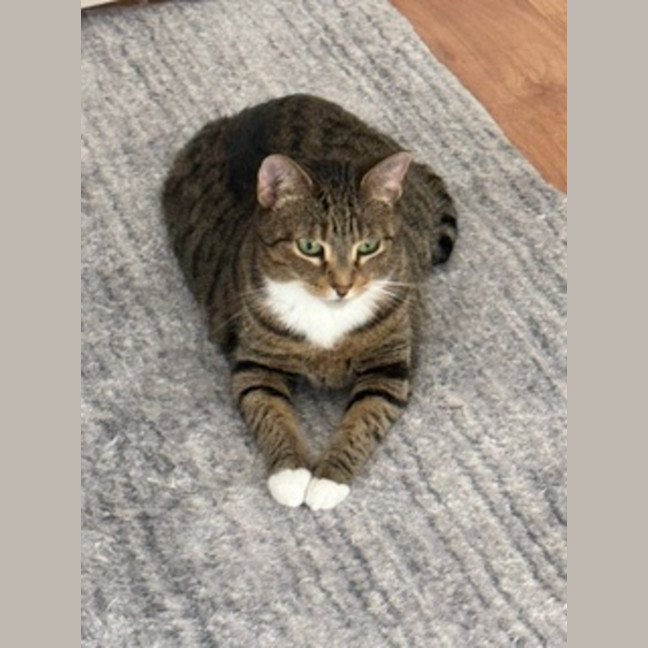 Photo of Lolo (Migallo)