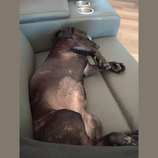 Photo of Heidi