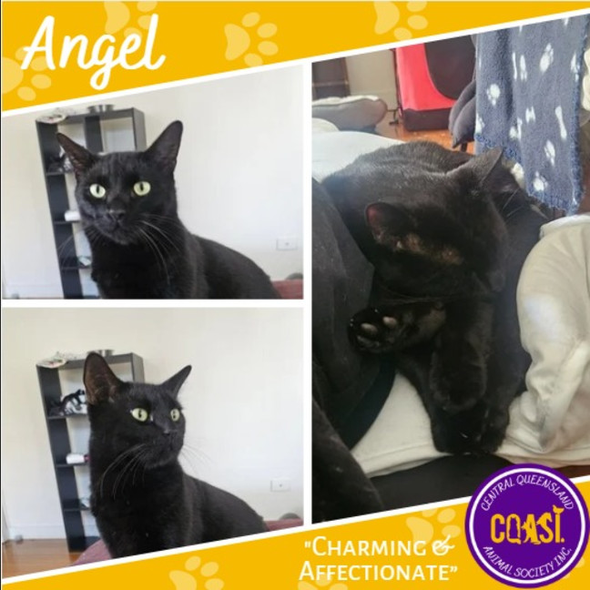Photo of Angel