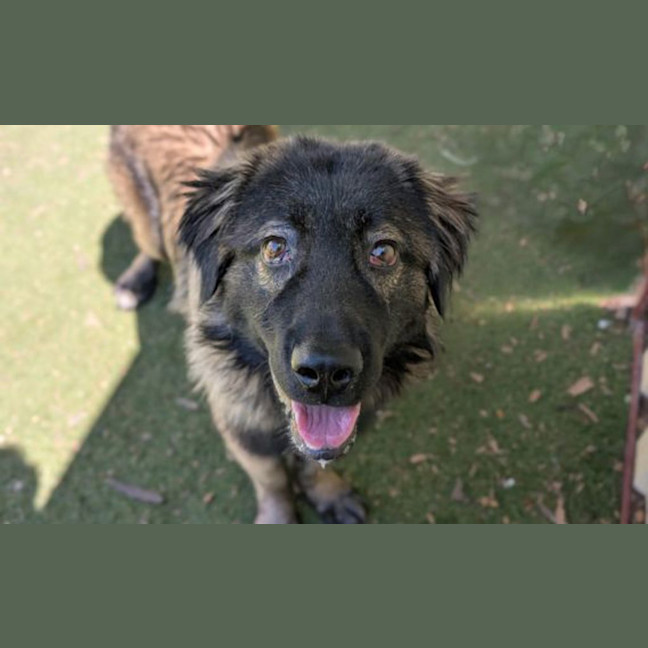 Photo of Tucker