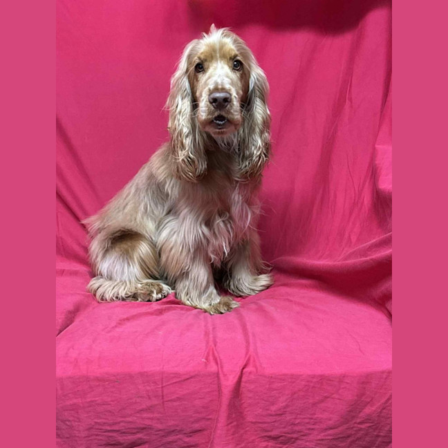 Photo of Winston