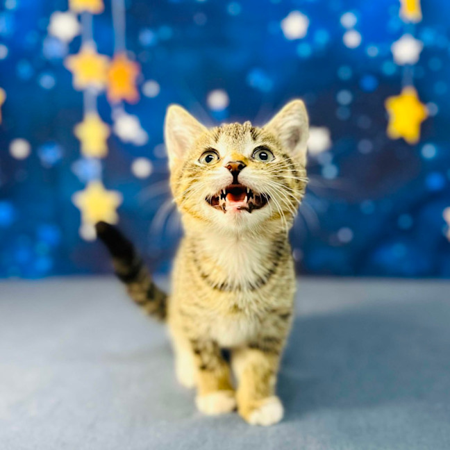 Photo of Bill   Located In Preston 