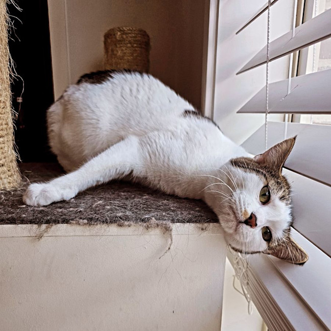 Photo of Pearl & Ruby