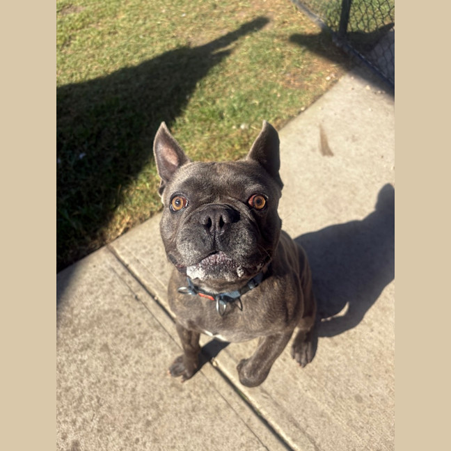 Photo of Manny