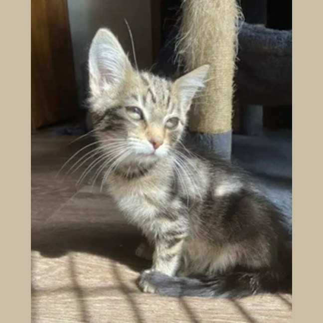 Photo of Winslow