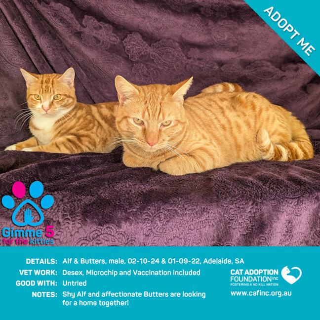 Photo of Alf And Butters