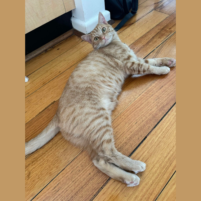 Photo of Saige & Charlie 