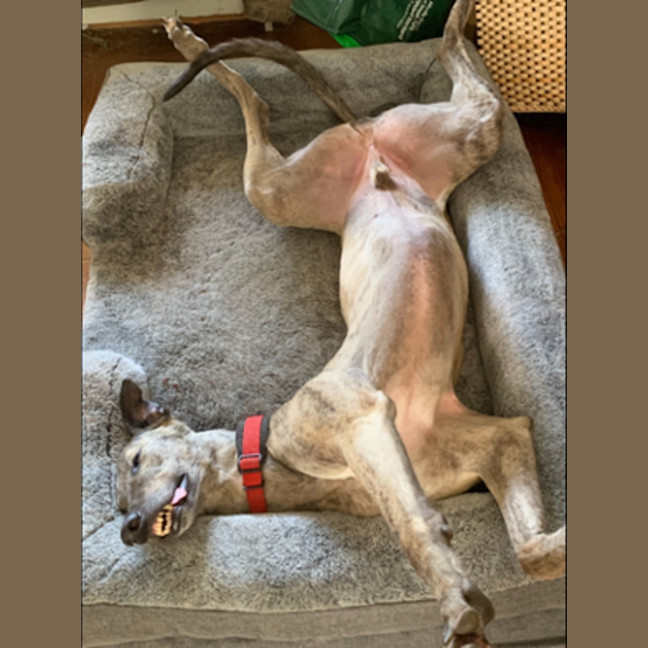Photo of Monty