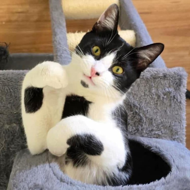 Photo of 10938   Bondi