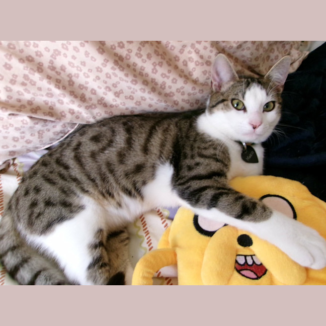 Photo of Marcel