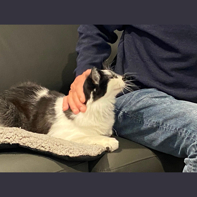 Photo of Handsome Huey