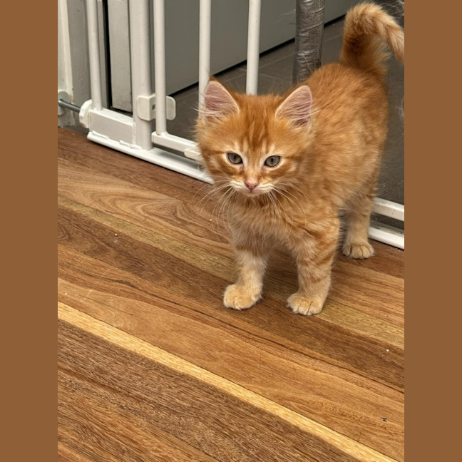 Photo of Eddie & Cherry 