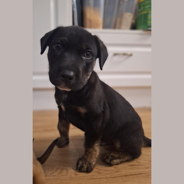 Photo of Bronx