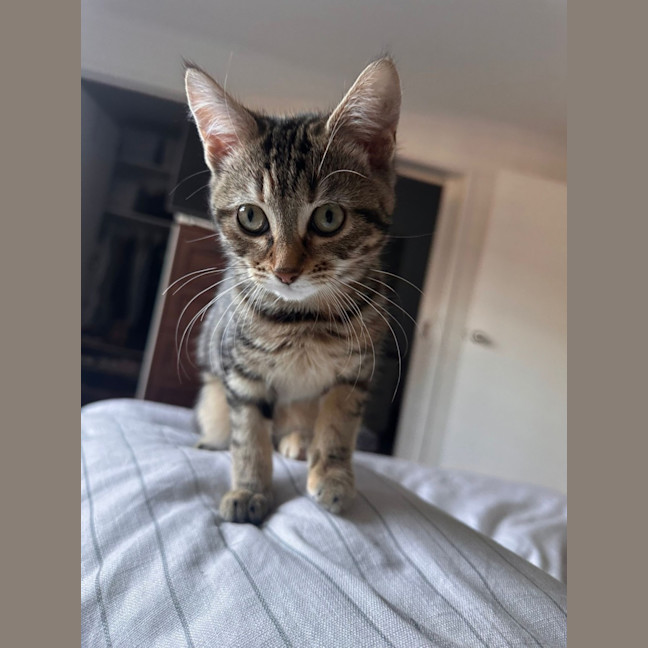 Photo of Delilah