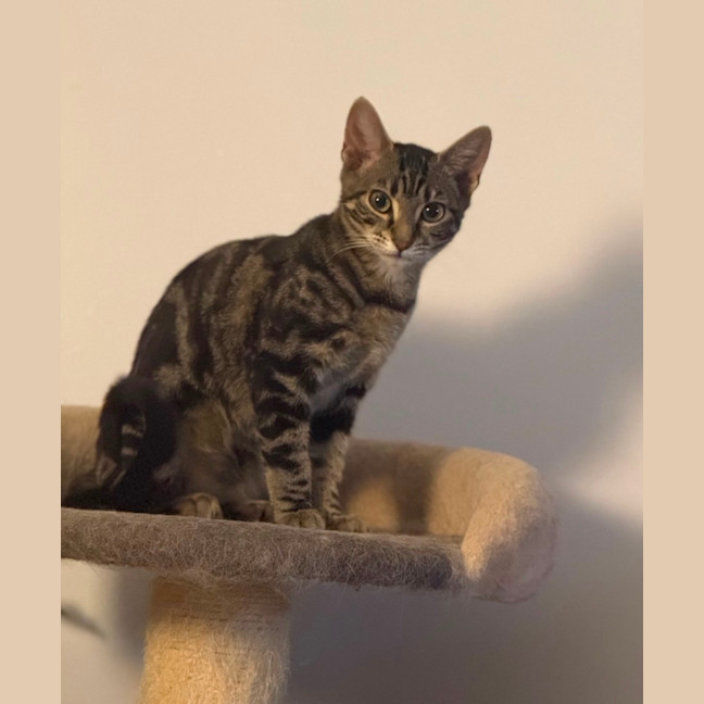 Photo of Sophie 