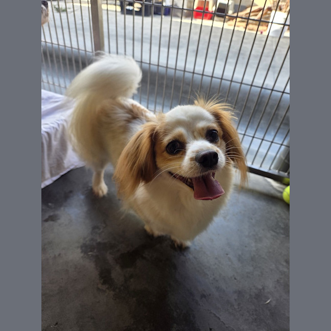 Photo of Mimi