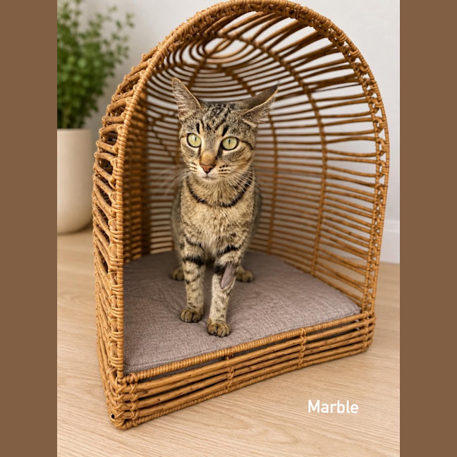 Photo of Marble