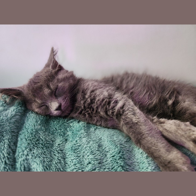 Photo of Winifred 
