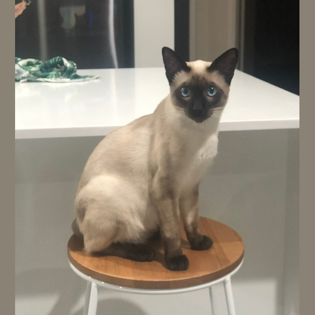 Photo of Ralph