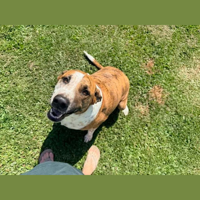 Photo of Roxie