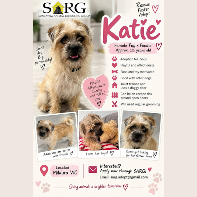 Photo of Katie 