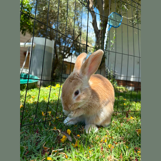 Photo of Jinny