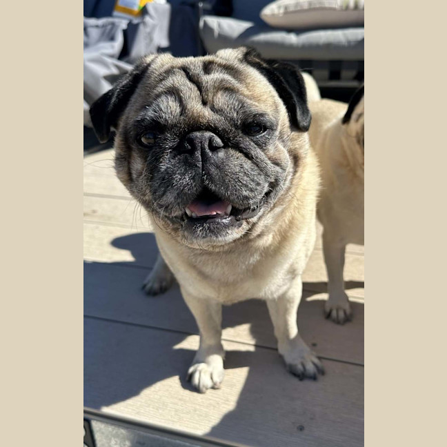 Photo of Jo Jo