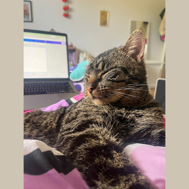 Photo of Bruce
