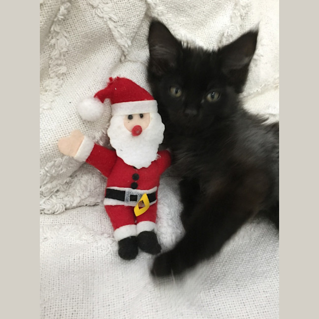 Photo of Mr. Rufty Tufty