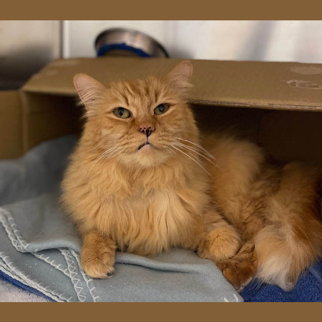Photo of Roary