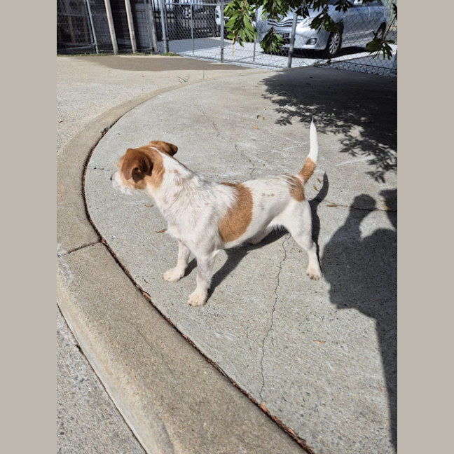 Photo of Aggie! 🌻