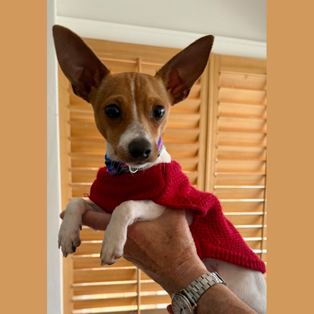Photo of Pablo