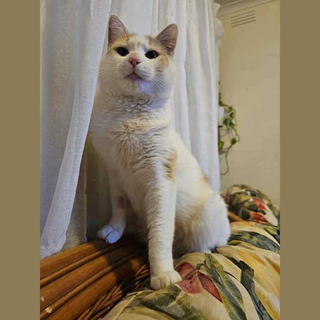 Photo of Rudolf 