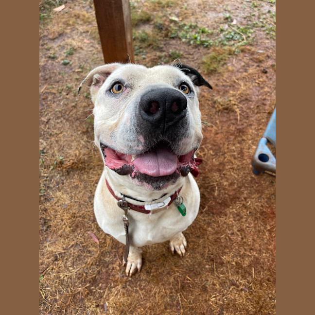 Photo of Turbo