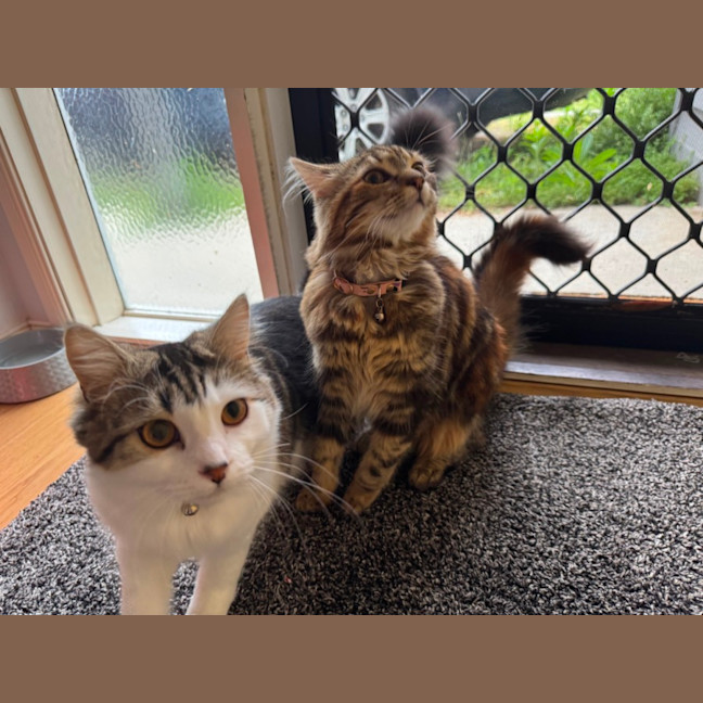 Photo of Luna & Maple