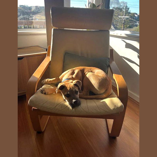 Photo of Sundae