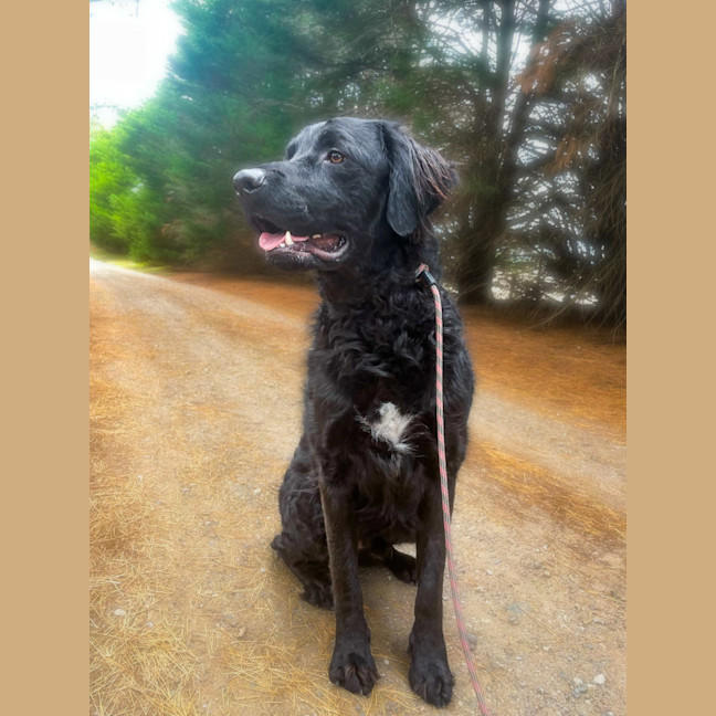 Photo of Kozzy 
